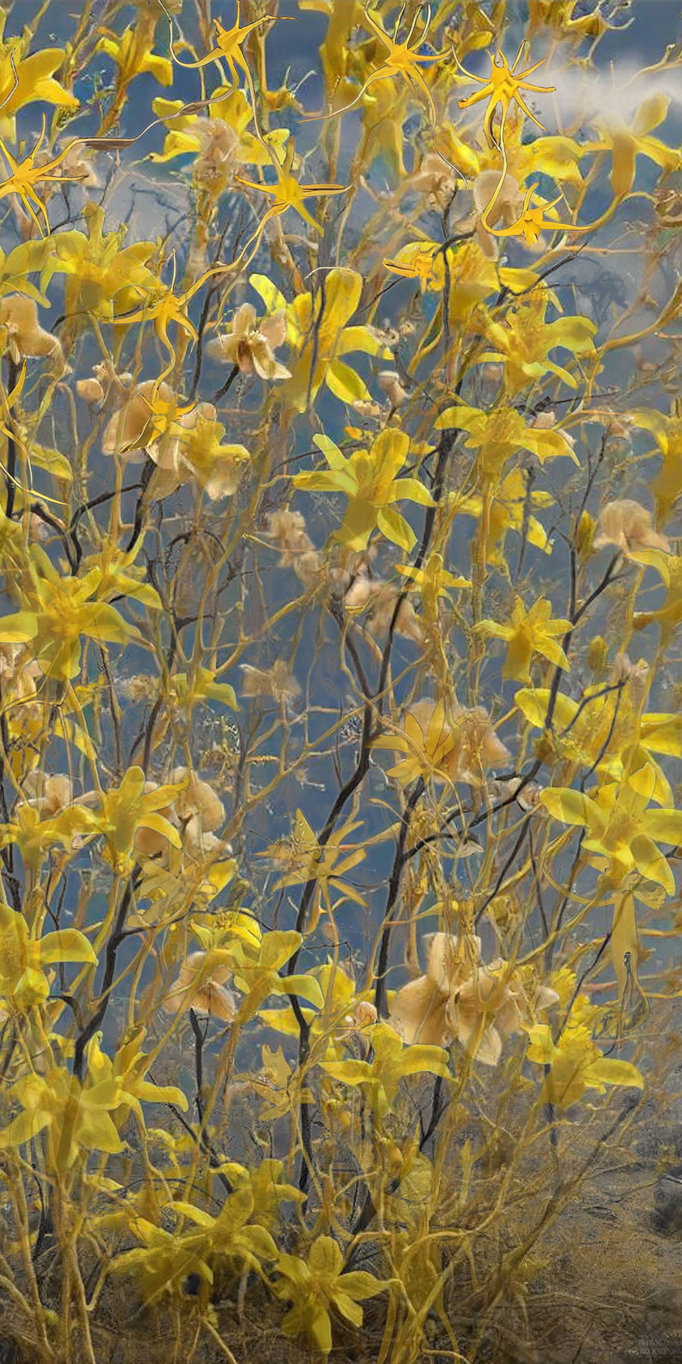 Each Trailing A Dreamworld banner by Gretta Louw